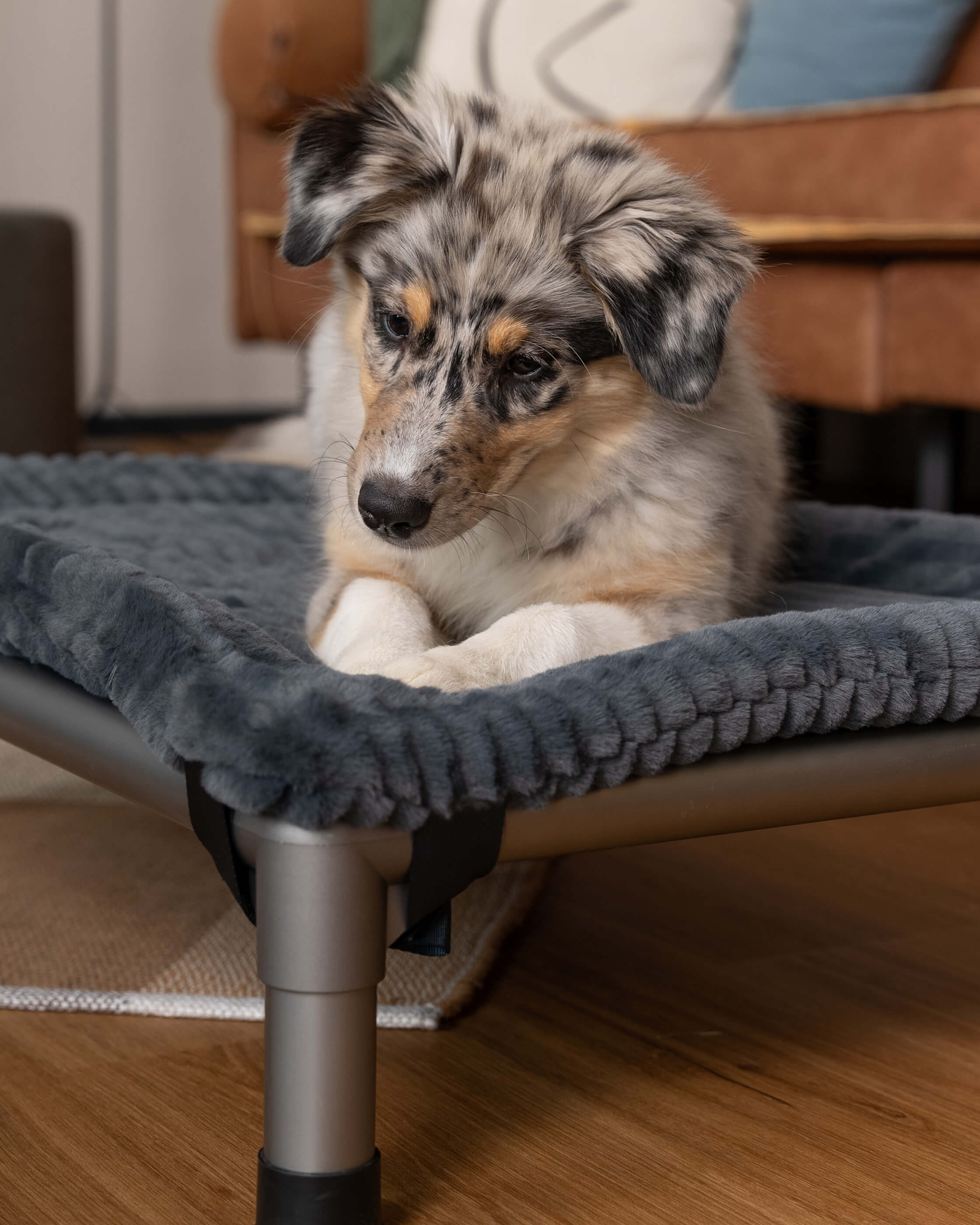 Harmony für HighBed