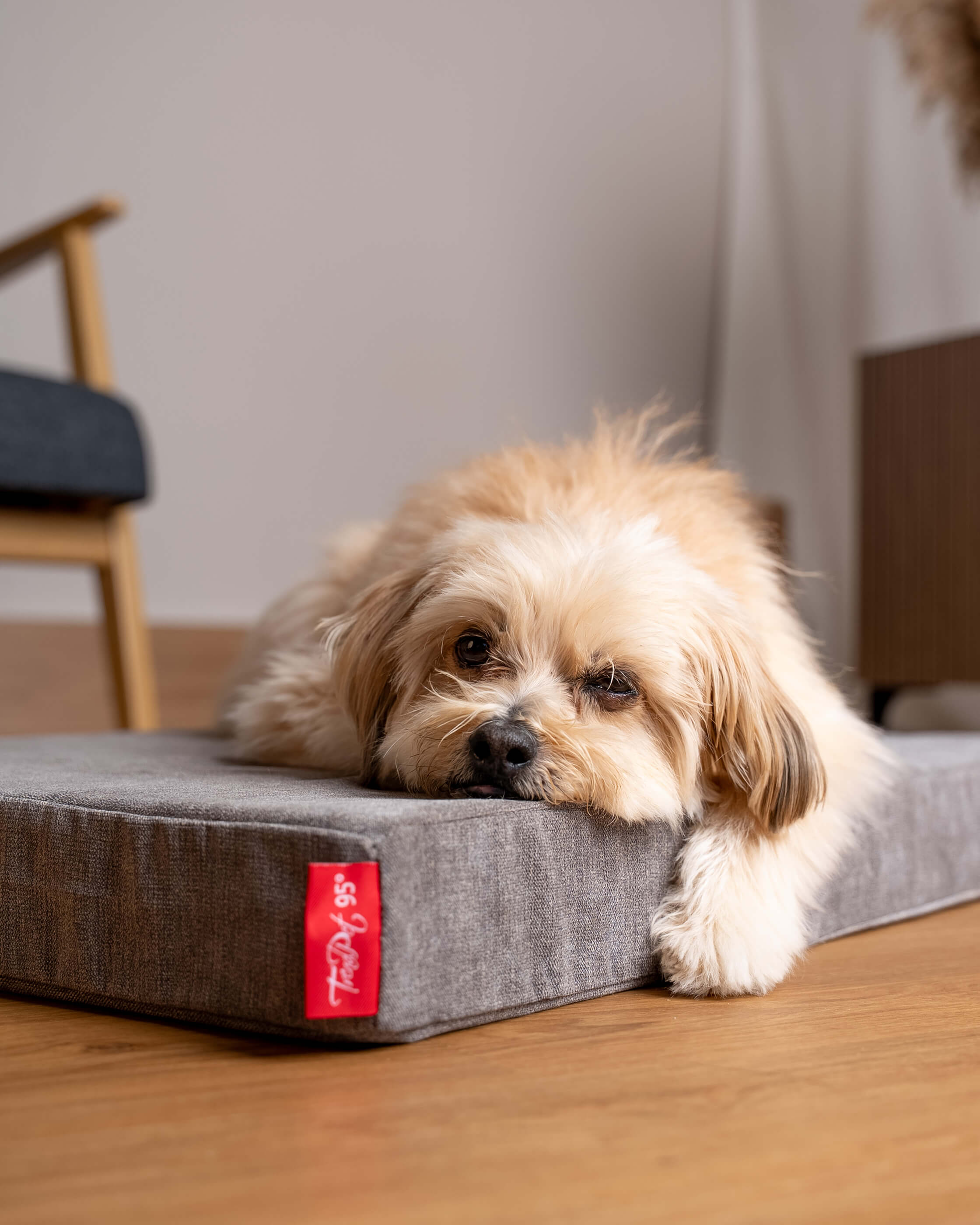 VitaMedog 95° - 7 cm