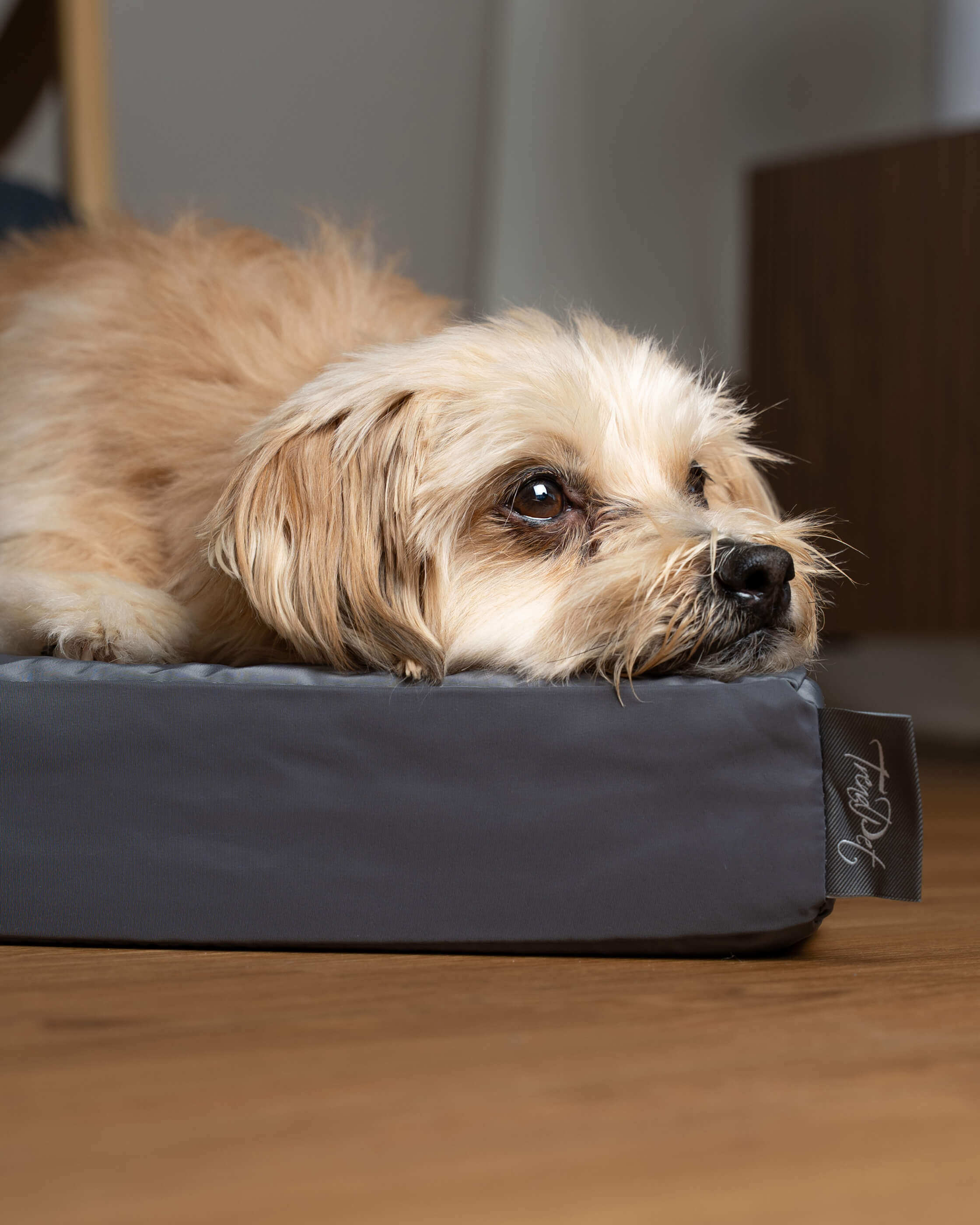 VitaMedog Wet - 7 cm