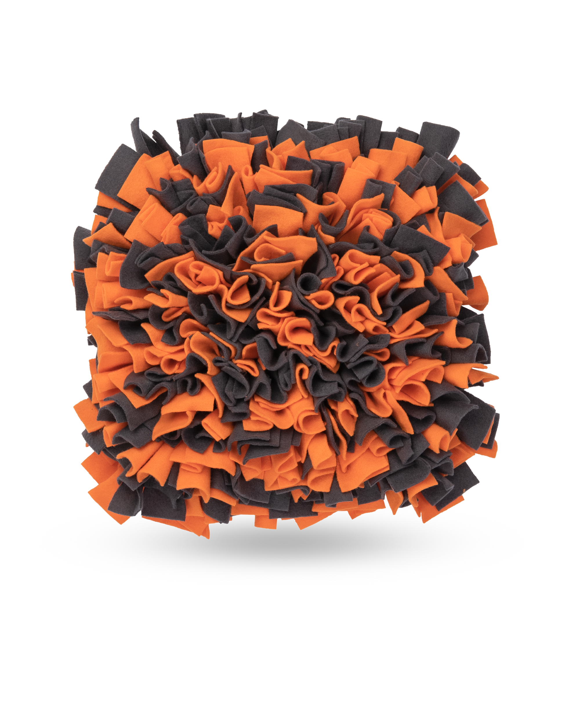 Schnüffelteppich Schnüffelteppich