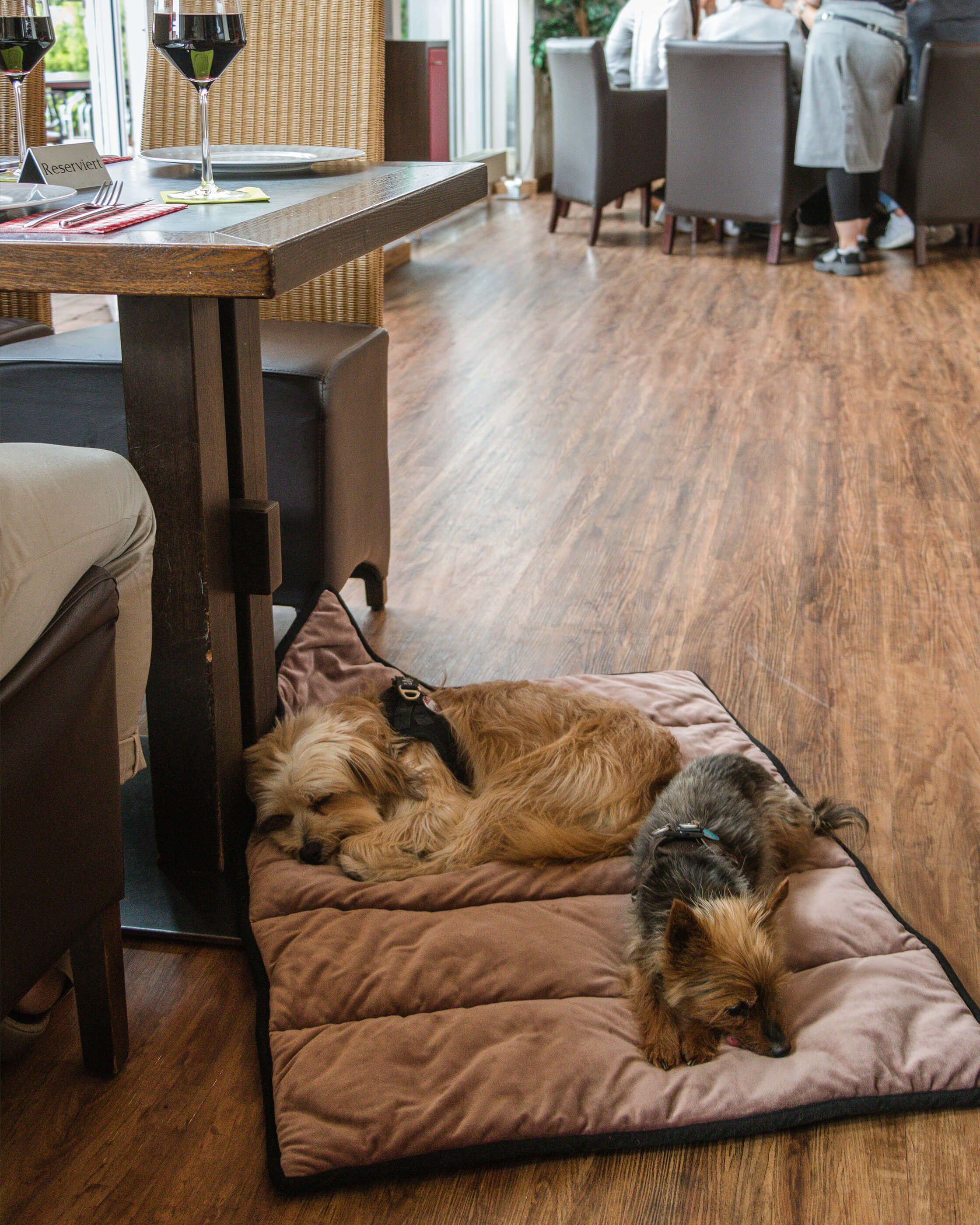 Meine Restaurantdecke