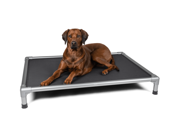 TrendPet HighBed - Erhöhtes Hundebett