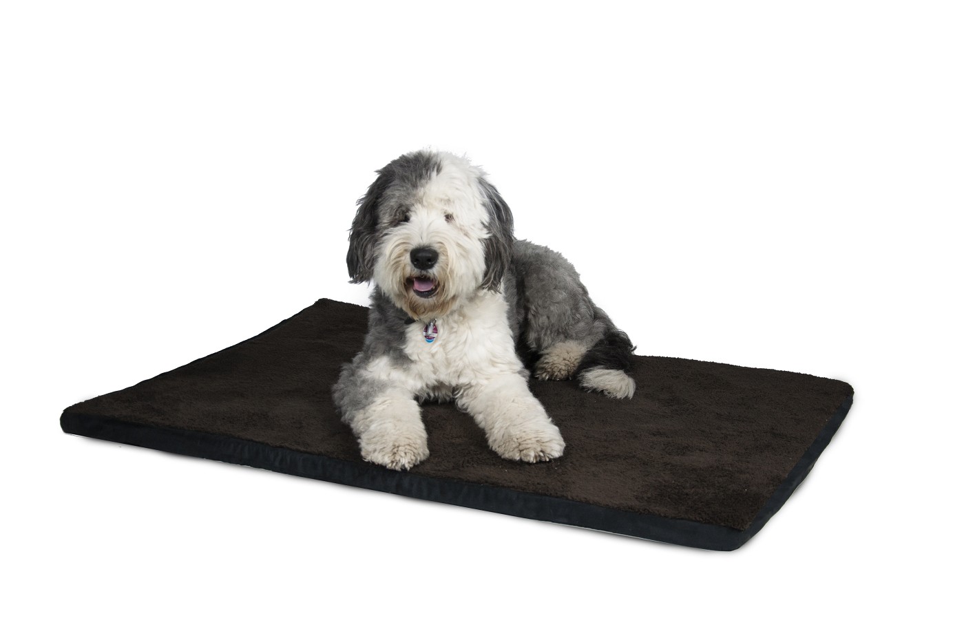 orthopädische matratze hund