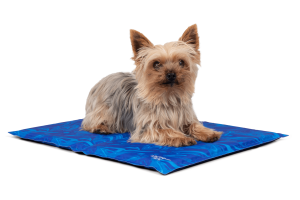 ArcticComfort - Premium Kühlmatte für Hunde - Extra dick 50 x 35 cm