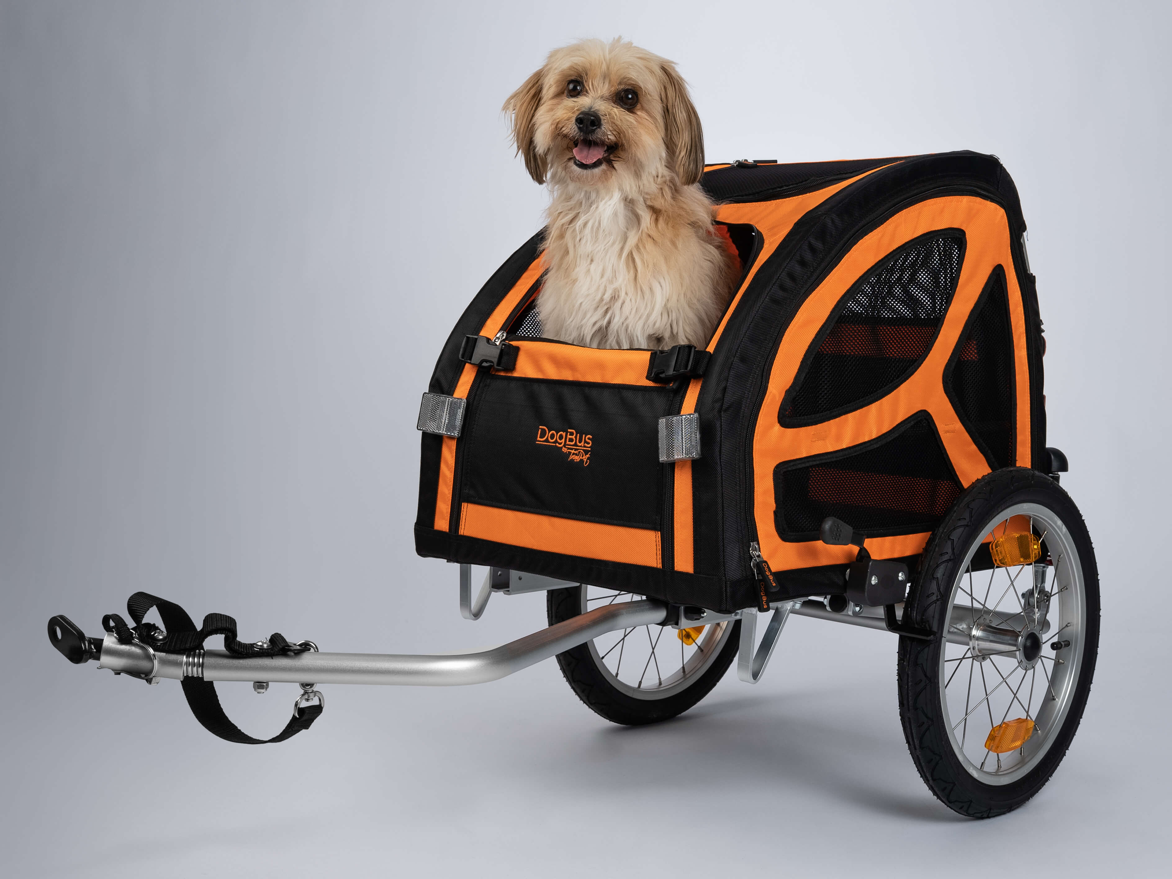 TrendPet DogBus S - Gefederter Fahrradanhänger für kleine bis