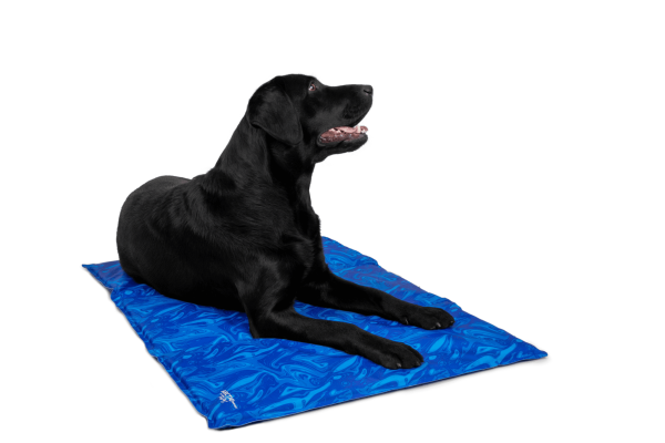ArcticComfort - Premium Kühlmatte für Hunde - Extra dick