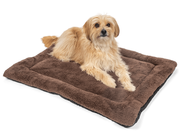 SoftPad Gepolsterte Hundedecke