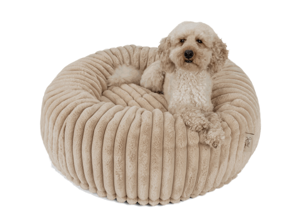Biscuit Spot Caramel - Das kuschelige, runde Hunde- und Katzenbett