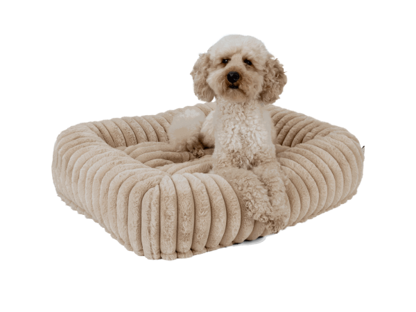 Biscuit Cube Caramel - Das kuschelige Hunde- und Katzenbett