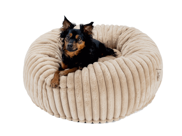 Biscuit Spot Caramel - Das kuschelige, runde Hunde- und Katzenbett