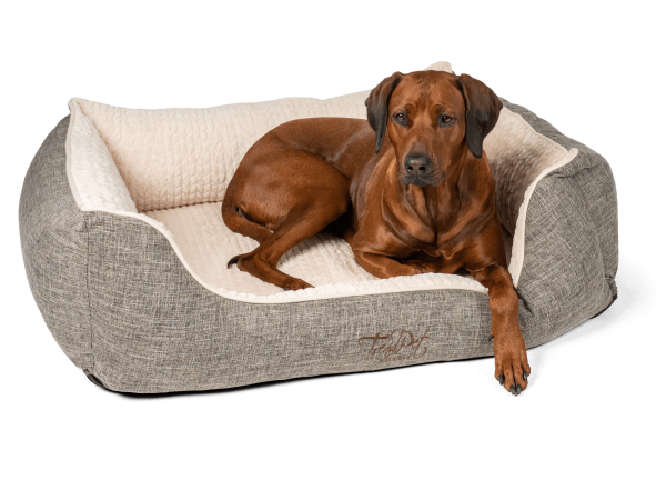 VitaBed Beige - Orthopädisches Hundebett mit 5cm Matratze