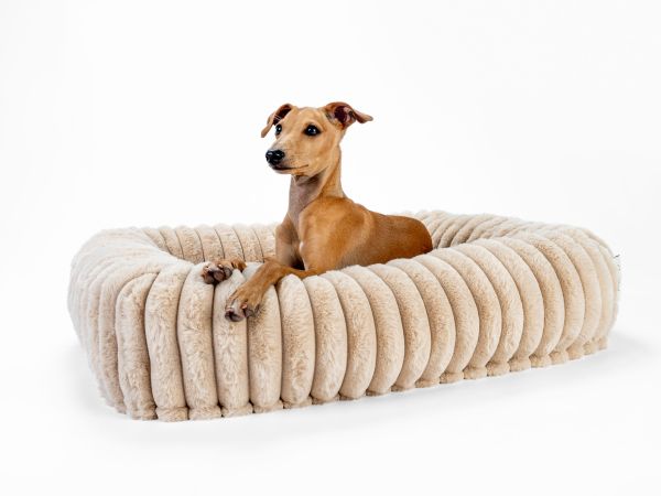 Biscuit Cube Caramel - Das kuschelige Hunde- und Katzenbett