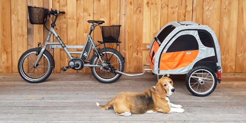 Comfort wagon dog bike trailer online