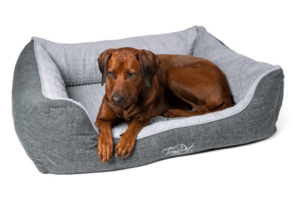 VitaBed Grau - Orthopädisches Hundebett mit 5cm Matratze